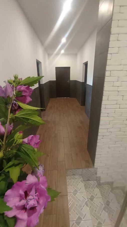 W Dawnej Lazni Apartment
